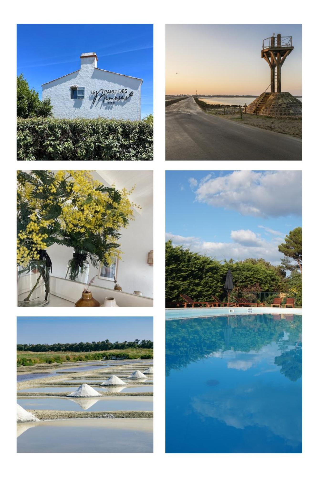 Villa Le Parc Des Mimosas Noirmoutier-en-l'Ile Exterior foto